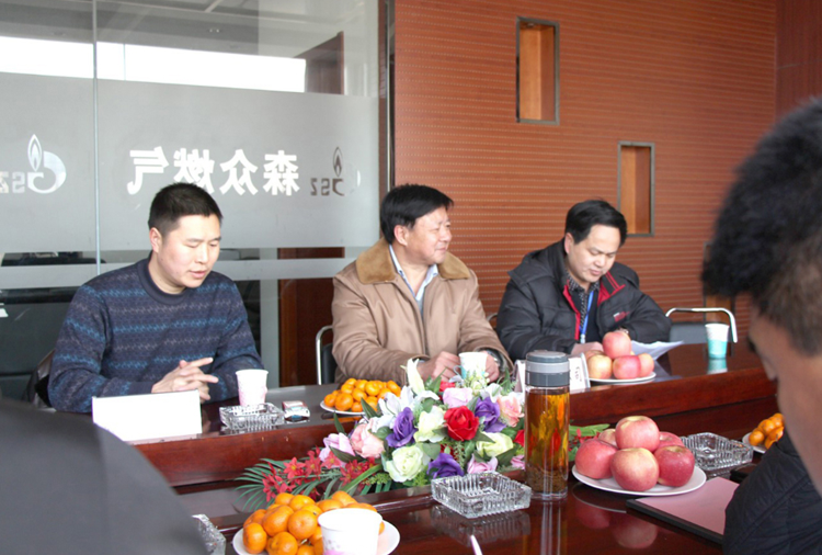 林口县政府与南宁殷伟运动产品设计有限公司燃气项目洽谈.png